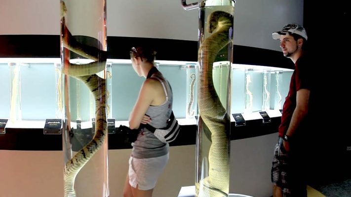 Snake Farm, Bangkok.