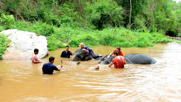 Elephants in the river with visitors.