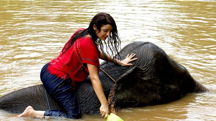 Elephant in the river with a woman.