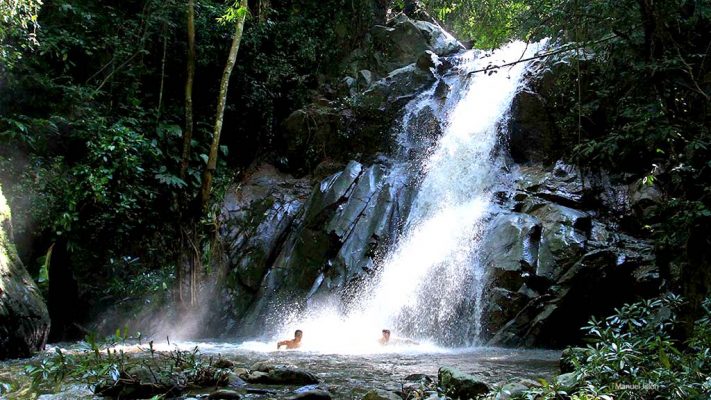 Trekking in the tropical forest